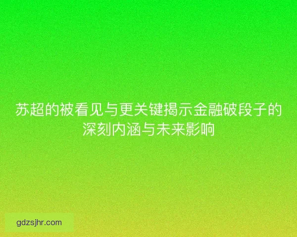 苏超的被看见与更关键揭示金融破段子的深刻内涵与未来影响