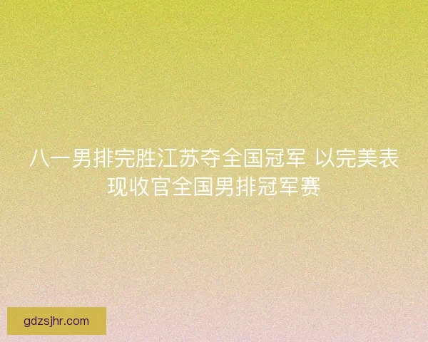 八一男排完胜江苏夺全国冠军 以完美表现收官全国男排冠军赛