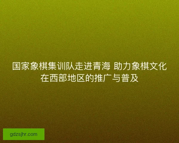 国家象棋集训队走进青海 助力象棋文化在西部地区的推广与普及